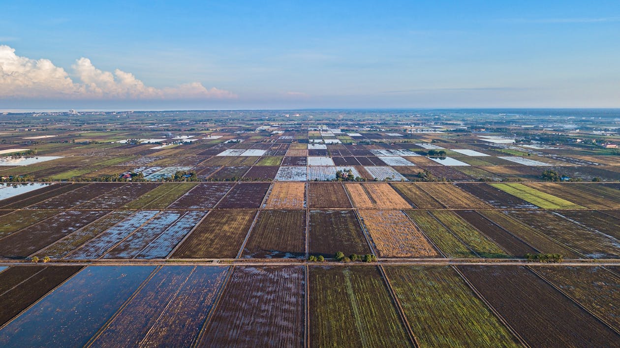 How to Sell Farmland in Delaware in 2026: A Modern Step-by-Step Guide