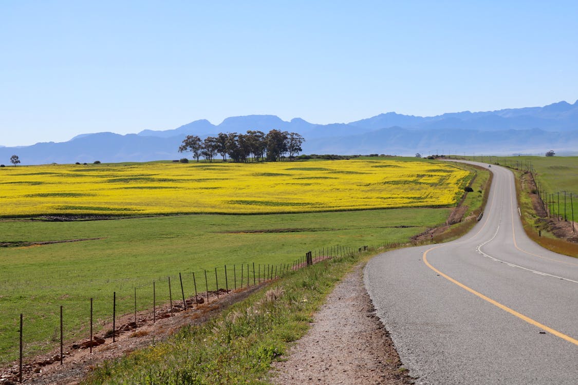 How to Sell Agricultural Land in North Dakota in Today’s 2026 Market