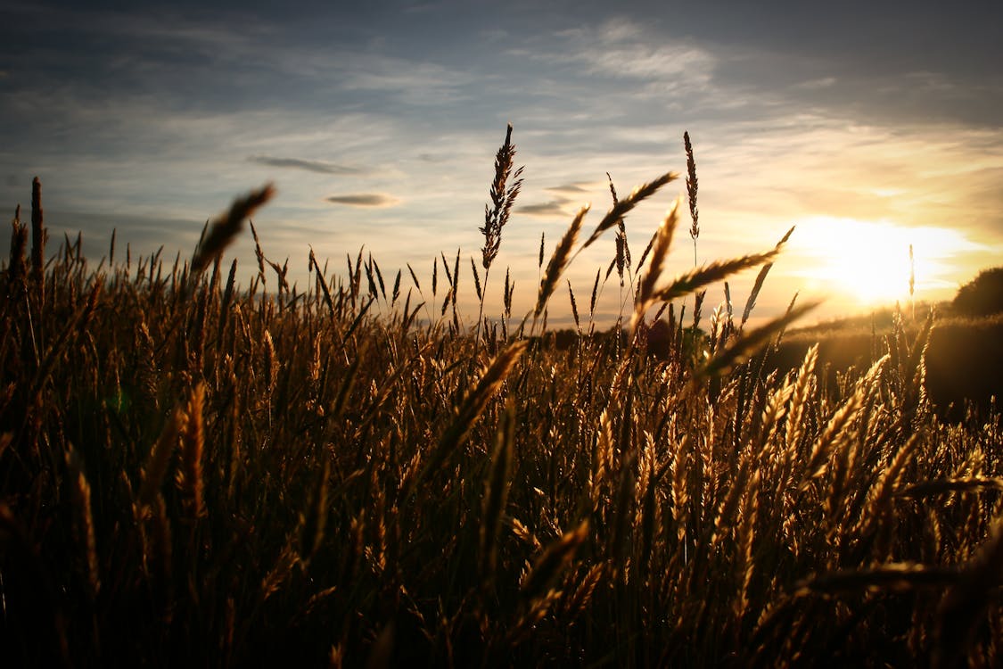 How to Sell Arizona Land Held in a Trust in 2026