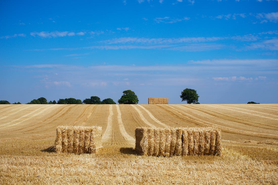 How to Sell Your Illinois Land Without an Agent in 2026