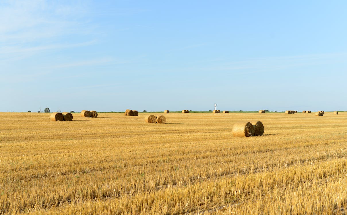 Selling Your Kansas Land Without an Agent in 2026: A Step-by-Step Guide