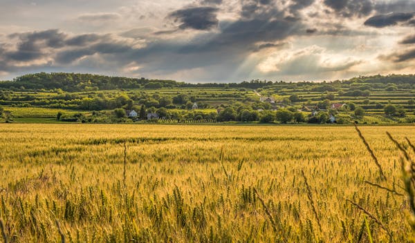 How to Sell Your North Carolina Land Yourself in 2026