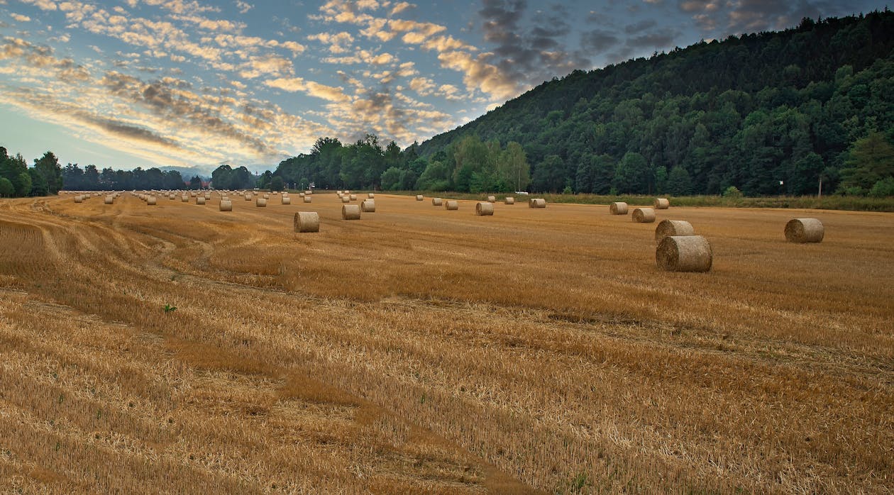 How to Sell Maryland Land Held in a Trust in 2026