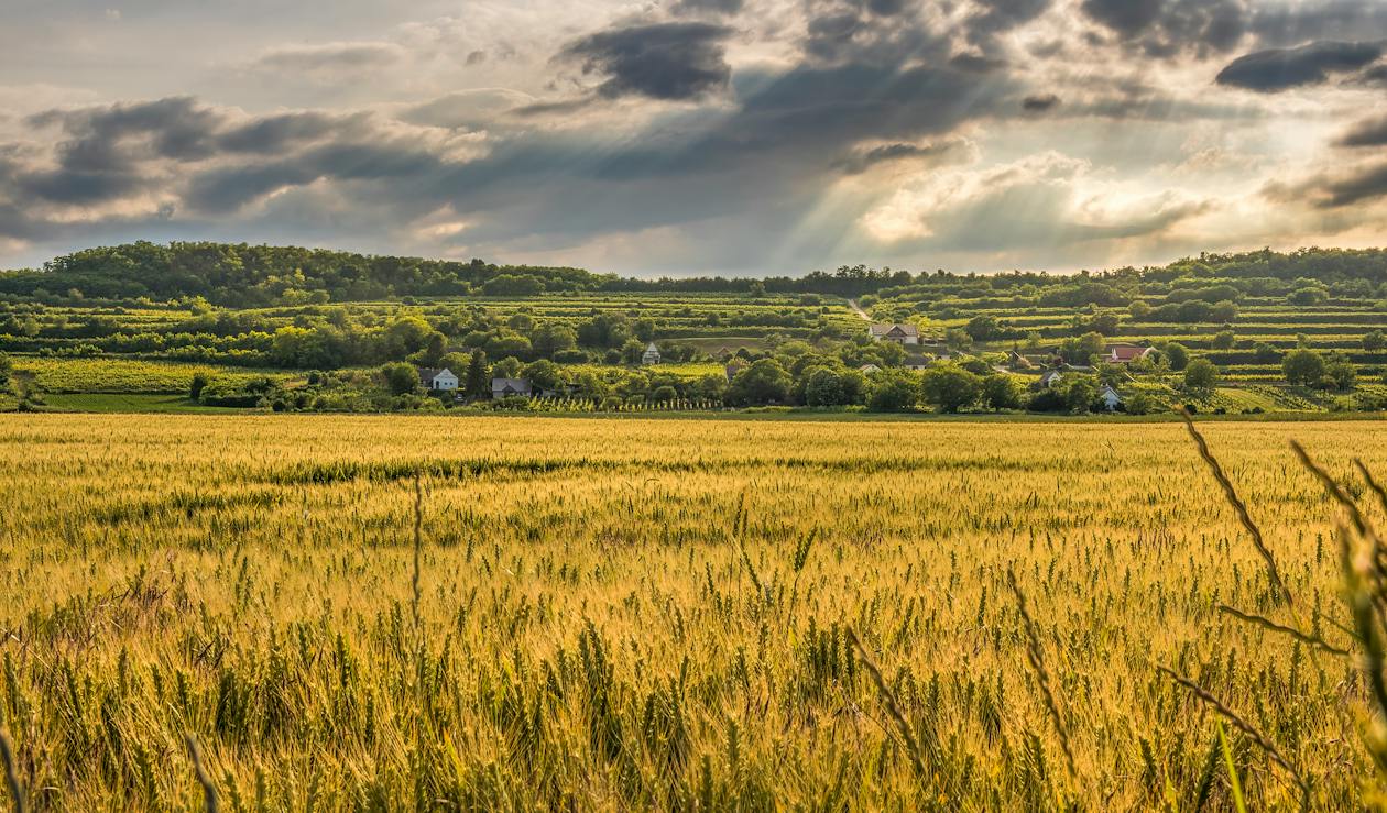 Is Buying Land in Delaware a Smart Move in 2026?