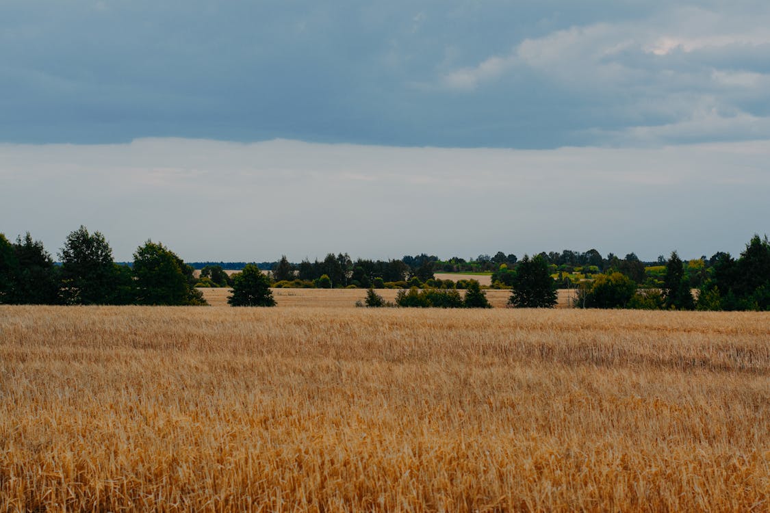 Common land-buying mistakes to avoid in California in 2026