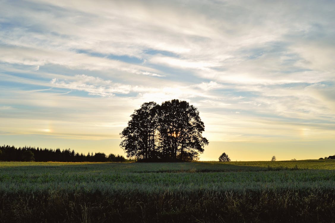 Costly Land-Buying Mistakes to Avoid in South Carolina in 2026