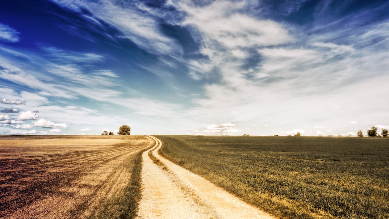 Advantages and Drawbacks of Buying Land in Washington in 2026