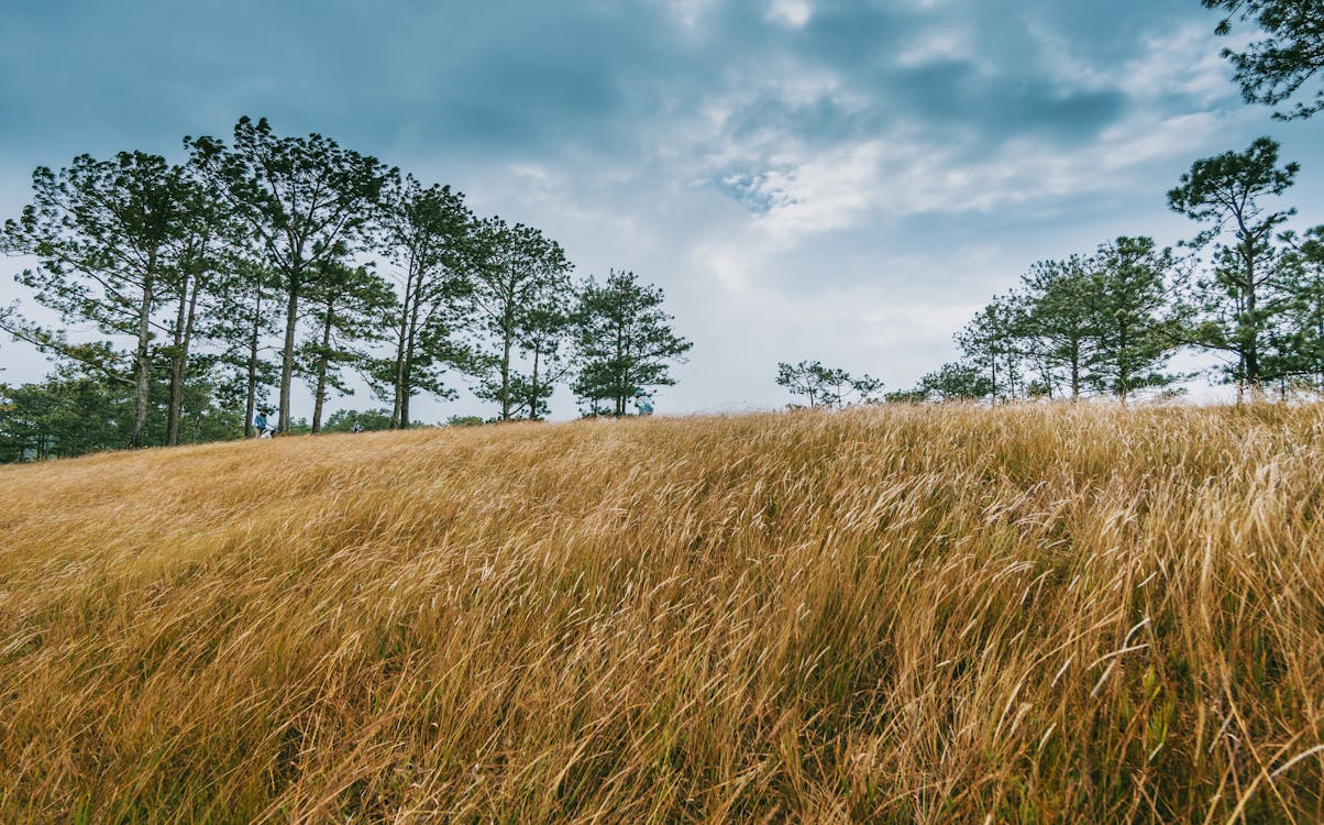 The Simple 2026 Guide to Selling Commercial Land in Utah