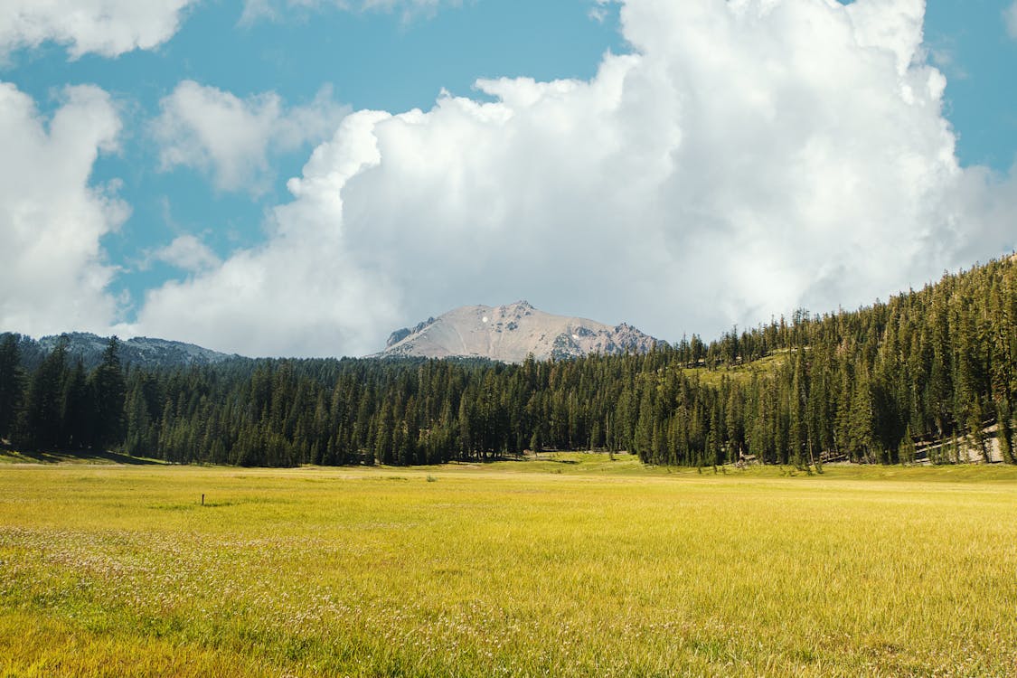 Top California Counties to Buy Land in 2026