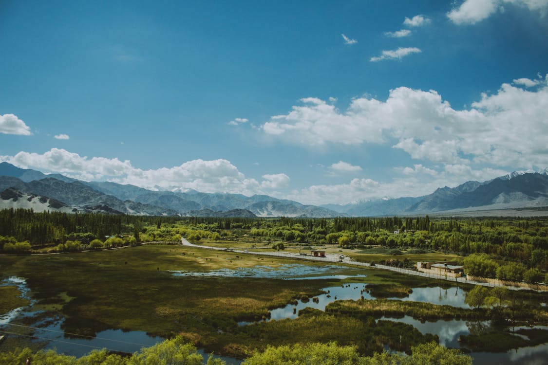 Smart Strategies for Selling Nebraska Recreational Land in 2026