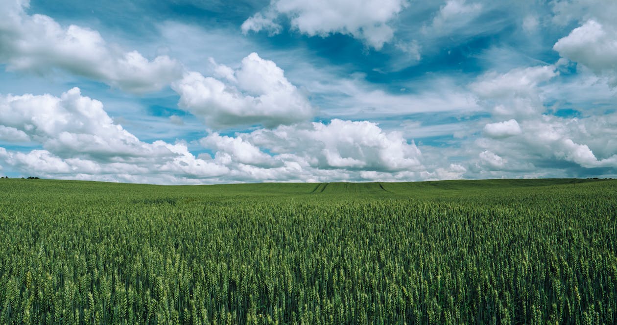 Top Websites to Buy Land in Delaware for 2026 Buyers