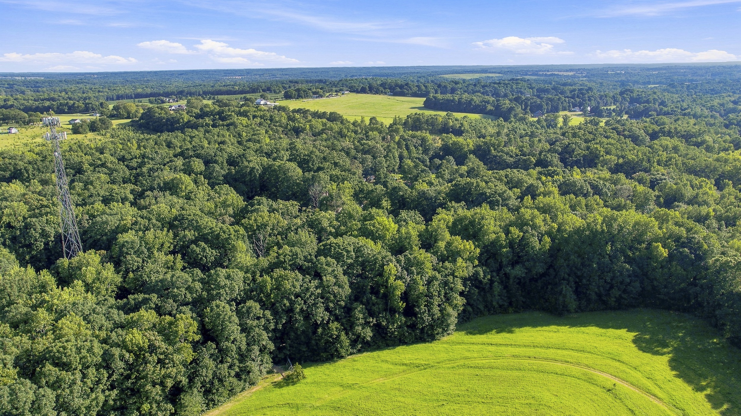 Wooded homesite at 241 Woodlawn Hills Drive, Greer SC