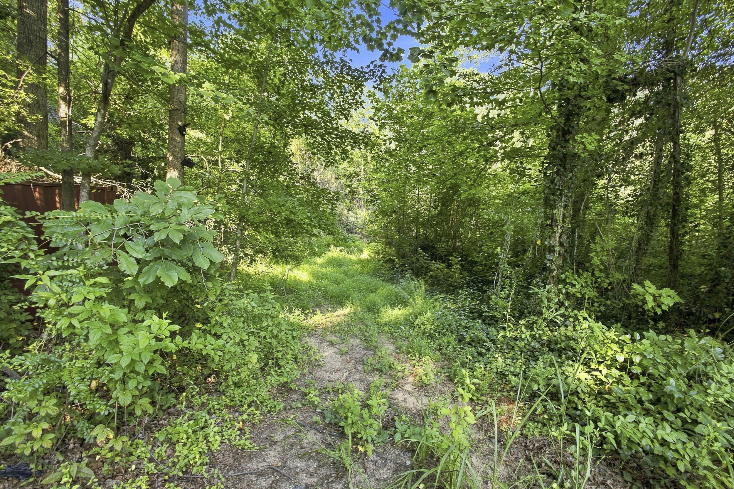 Walking path through the wooded Greer tract