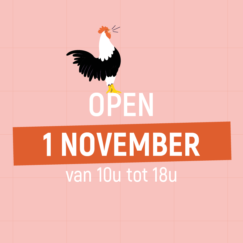 EXTRA OPEN