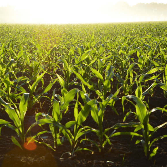 Agriculture workplace safety