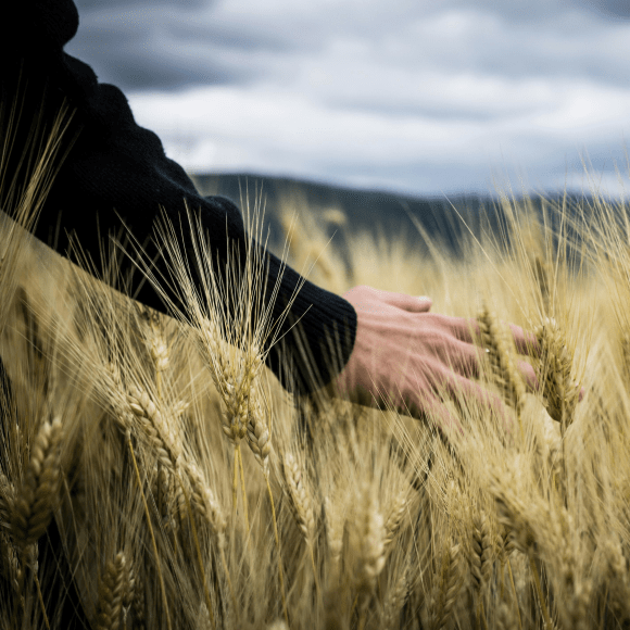Agriculture workplace safety