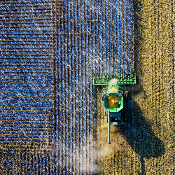 Aerial drone shot of a combine harvester working in a cornfield during harvest season in rural Minnesota.