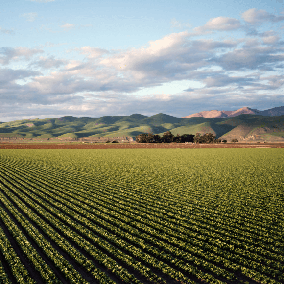 Agriculture workplace safety