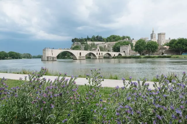 Dame de compagnie à Avignon
