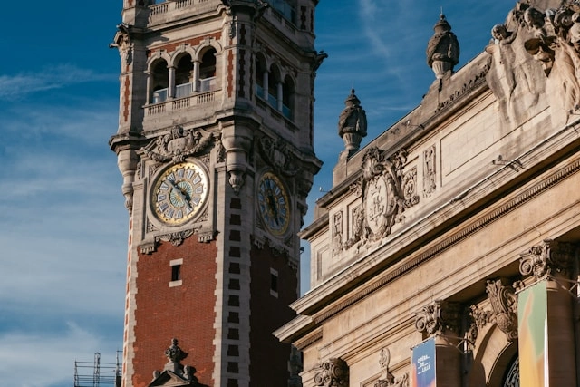 Dame de compagnie à Lille