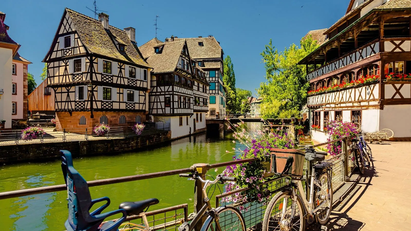 Dame de compagnie à Strasbourg