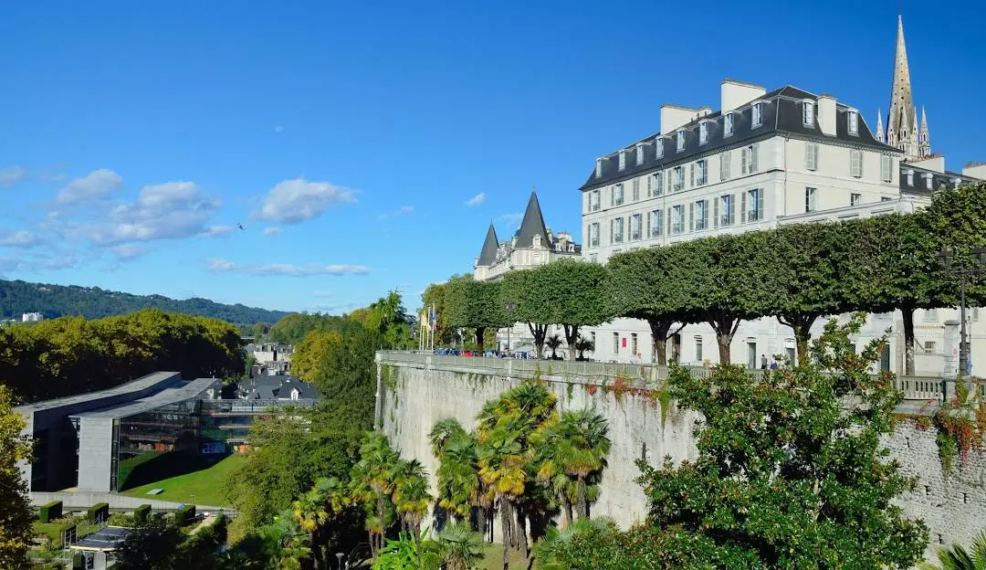 Dame de compagnie à Pau