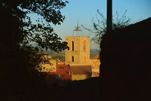 Dame de compagnie à Hyères