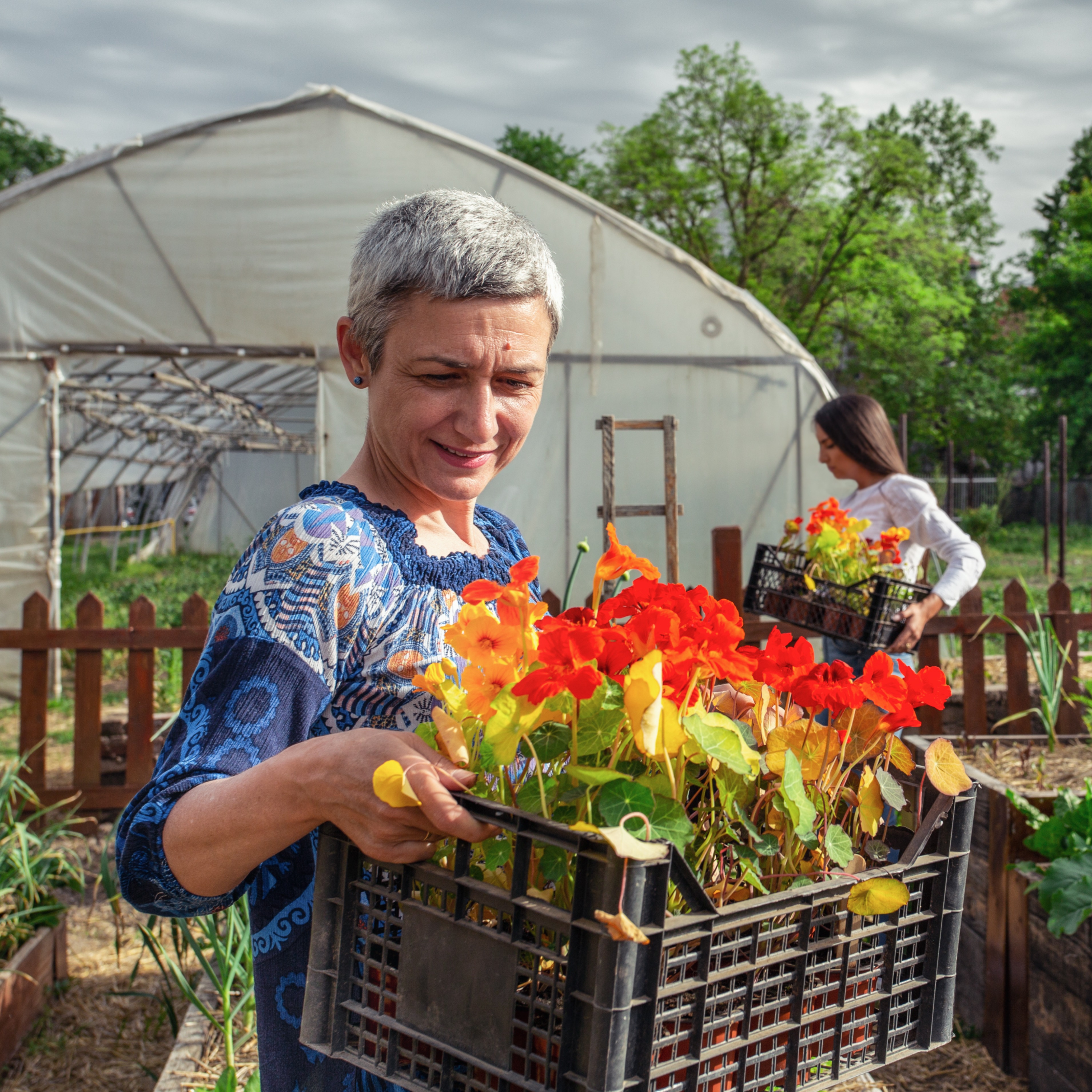 Two women harvesting flowers on a farm