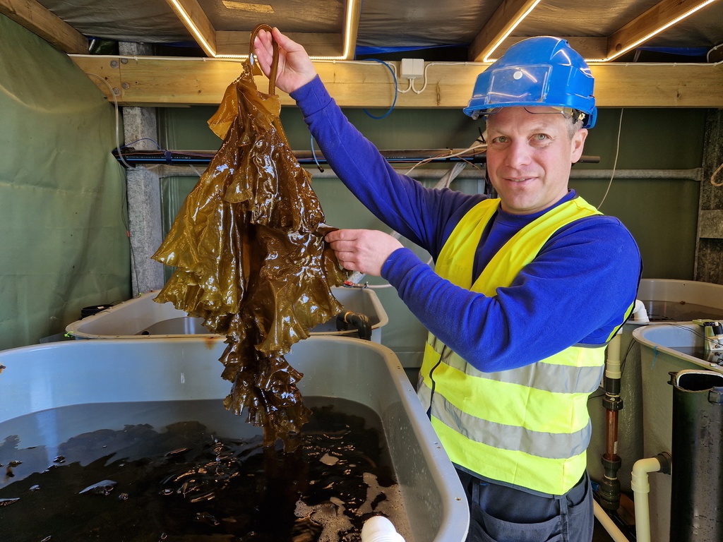 – Dette er en læreplass for deg som er nysgjerrig og vil forstå hvorfor vi gjør ting, ikke bare hvordan, sier Trond Ivarjord. Han er seksjonsleder på Forsknings- og innovasjonsstasjon Kraknes (FISK)