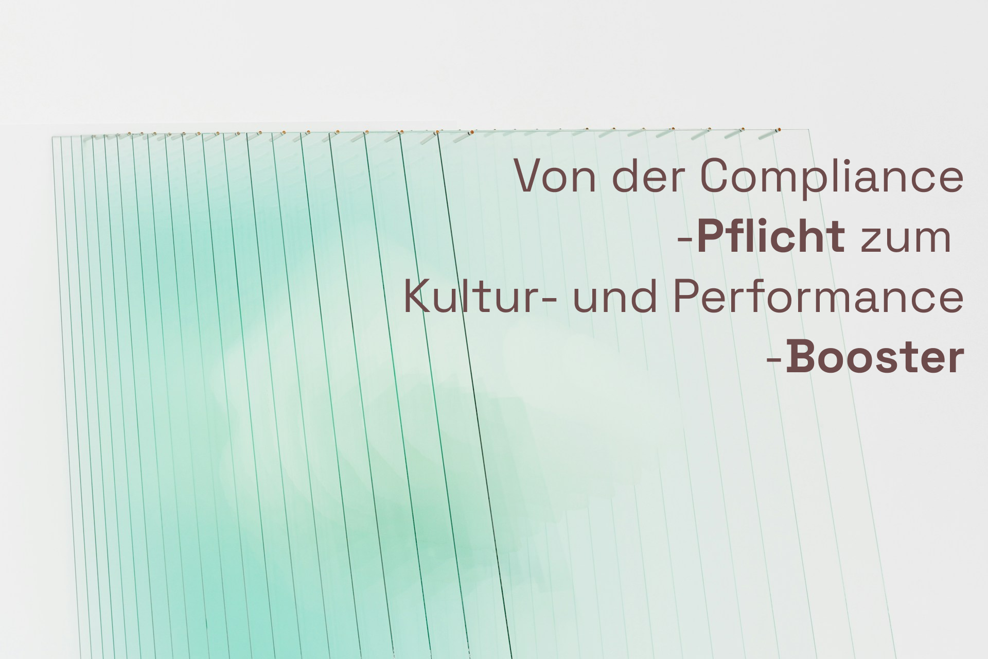 EU-Entgelttransparenzrichtlinie erfolgreich umsetzen