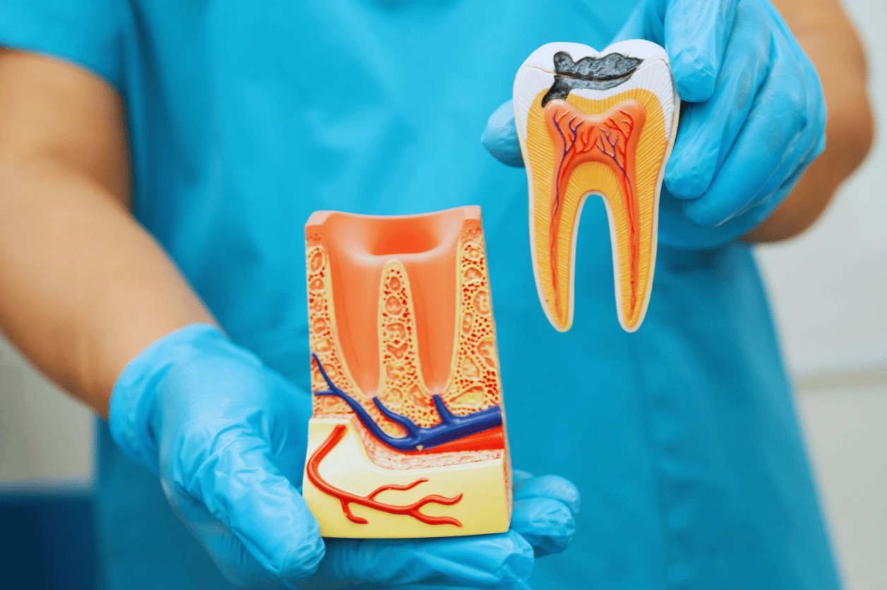 invisalign frequently asked questions