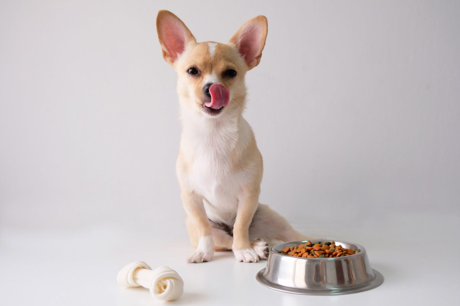 Pet Nutrition: How to Recognize and Treat Nutritional Deficiencies in Pets