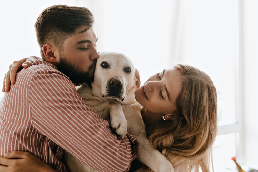 Why You Should Schedule a Wellness Exam for Your Pet