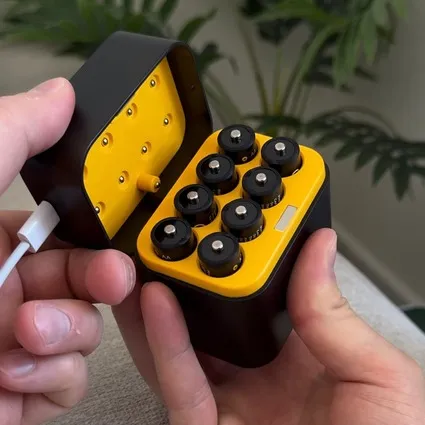 AA Battery Charging Case