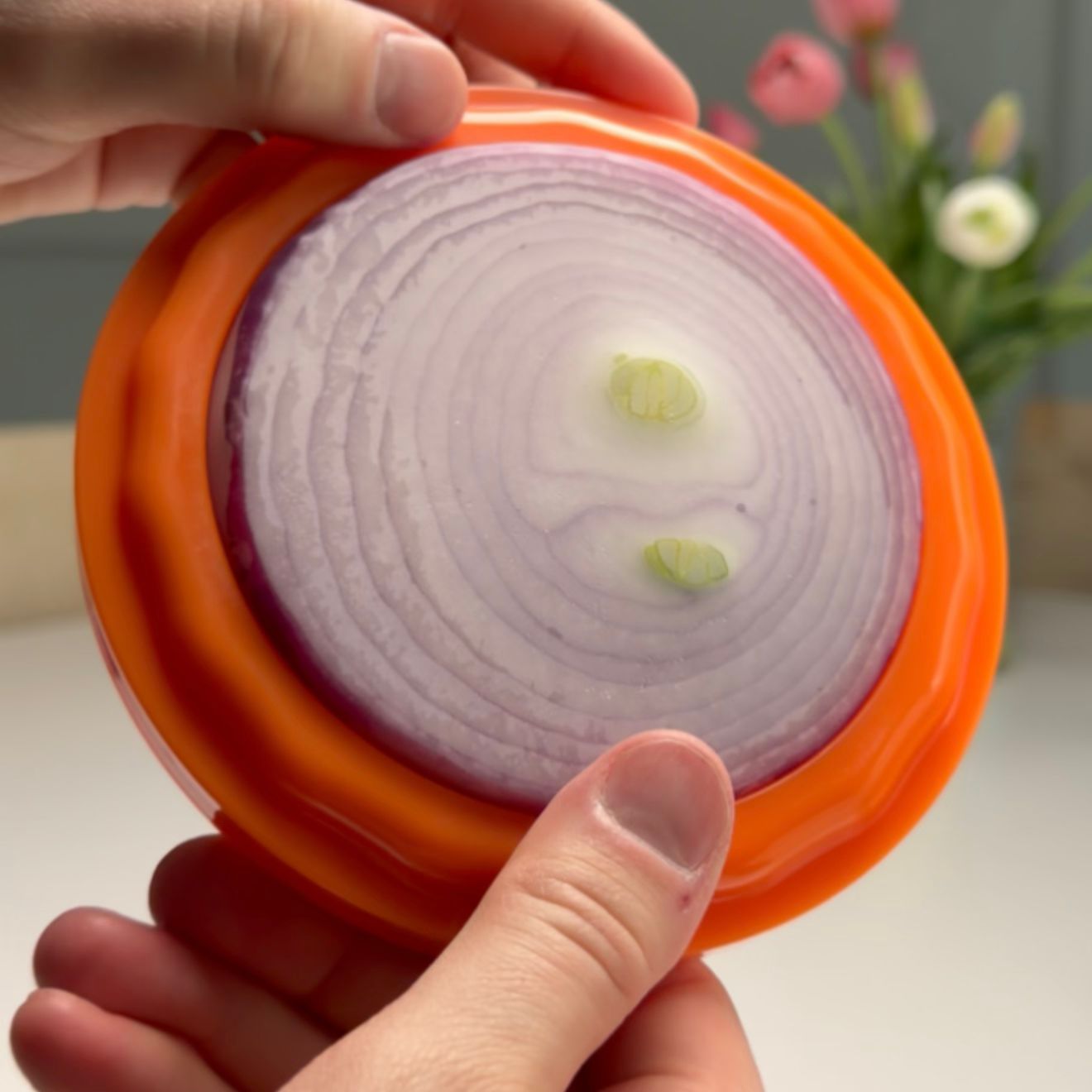 Silicone Food Storage Avocado Onion Saver