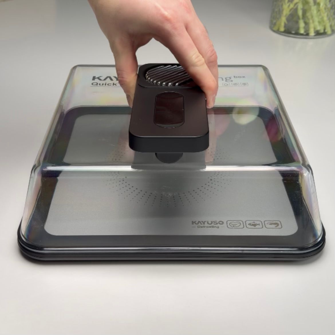 Quick Defrosting Tray