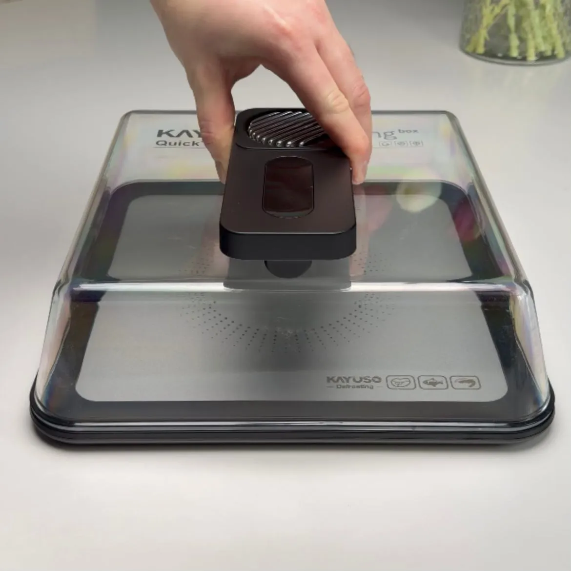 Quick Defrosting Tray