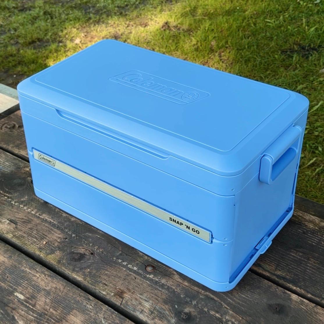 Collapsible Food Cooler 45-Quart
