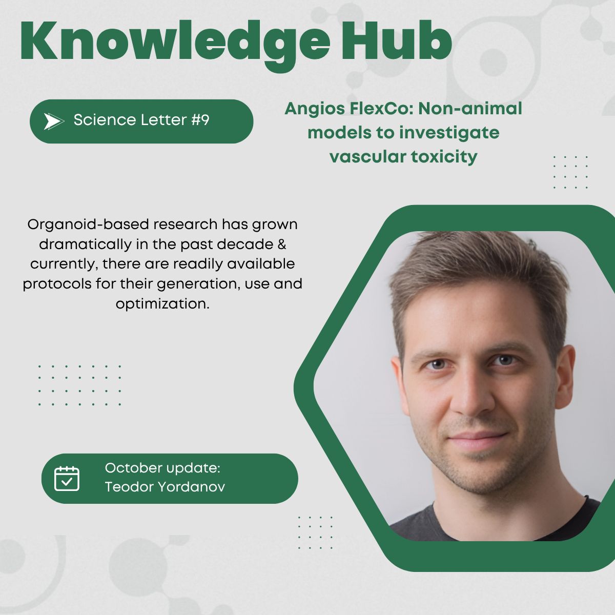 Non-animal models to investigate vascular toxicity