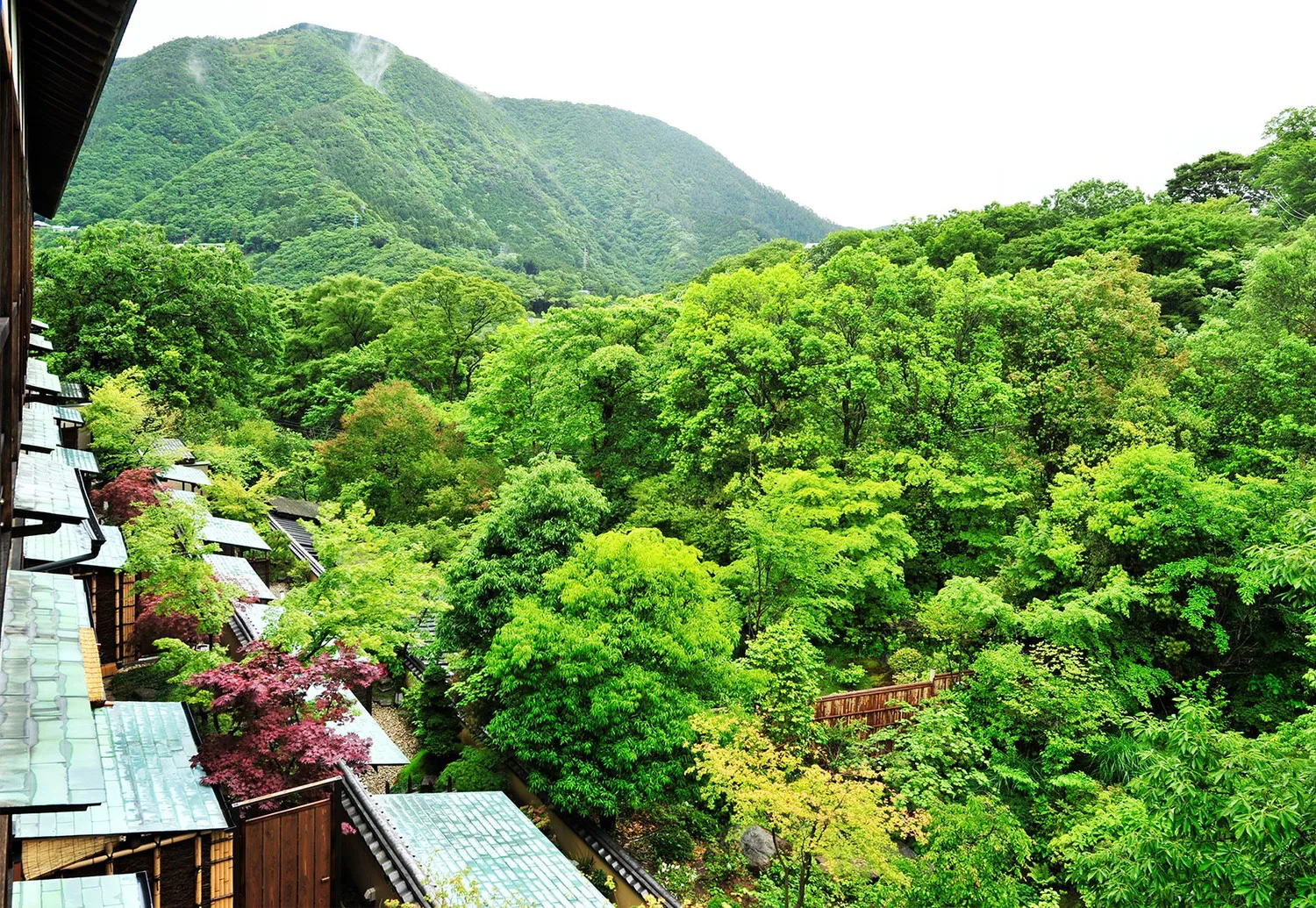 Luxury Japan Holidays