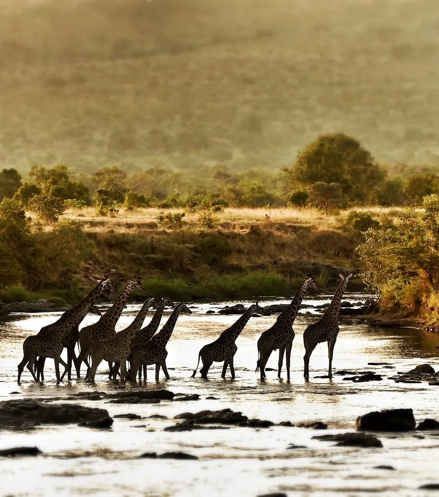 Alex Walker's Serian