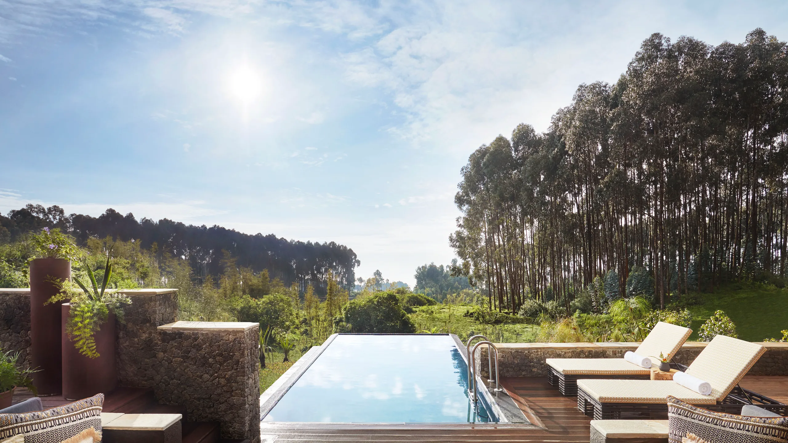 One & Only Gorilla's Nest