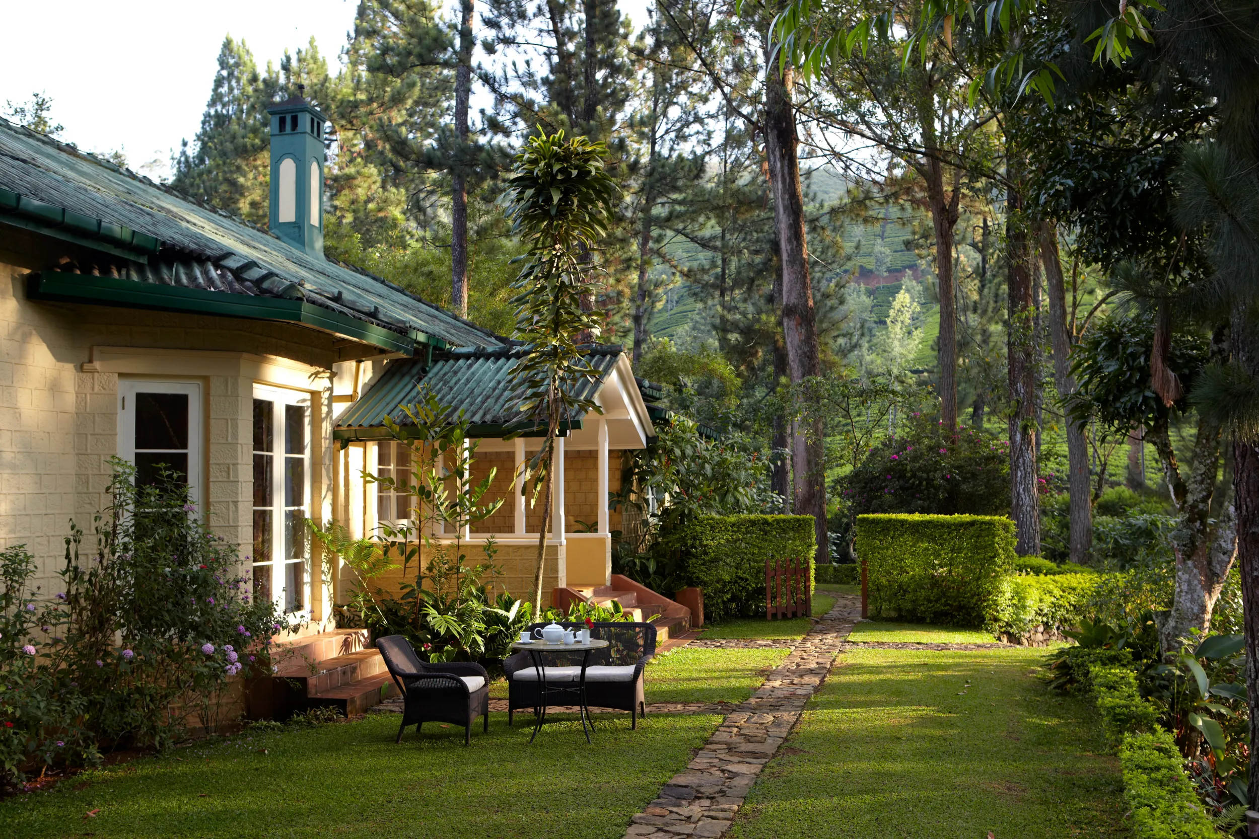 Ceylon Tea Trails