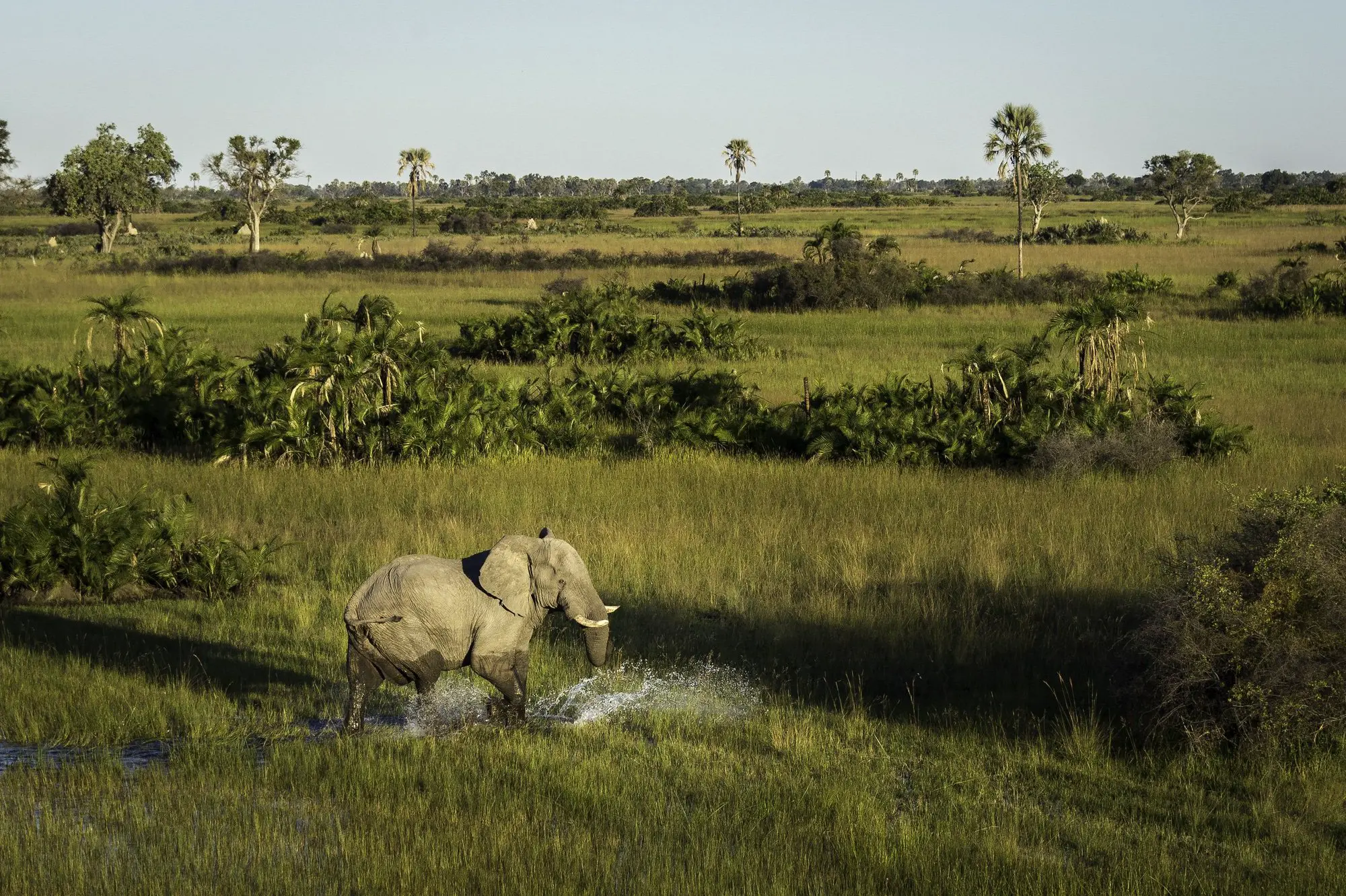 When to visit Botswana