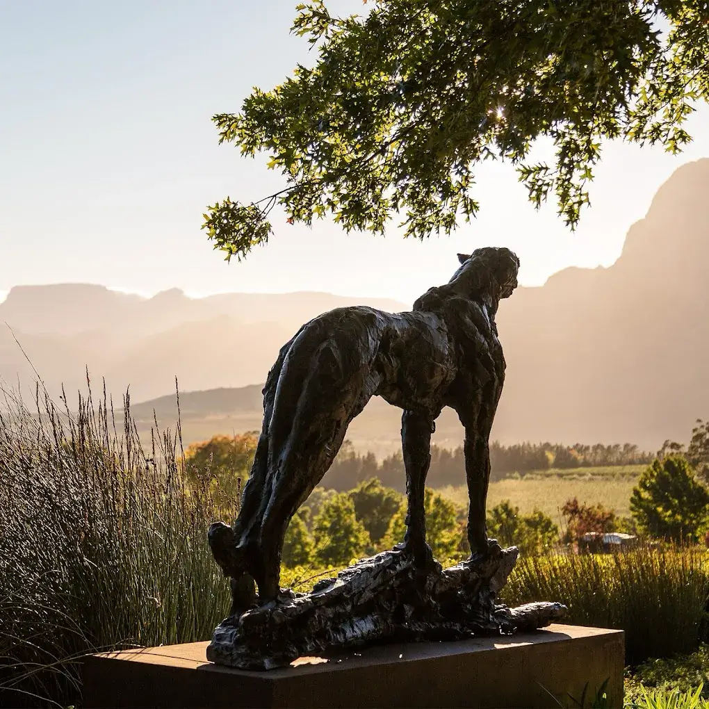 Delaire Graff Estate