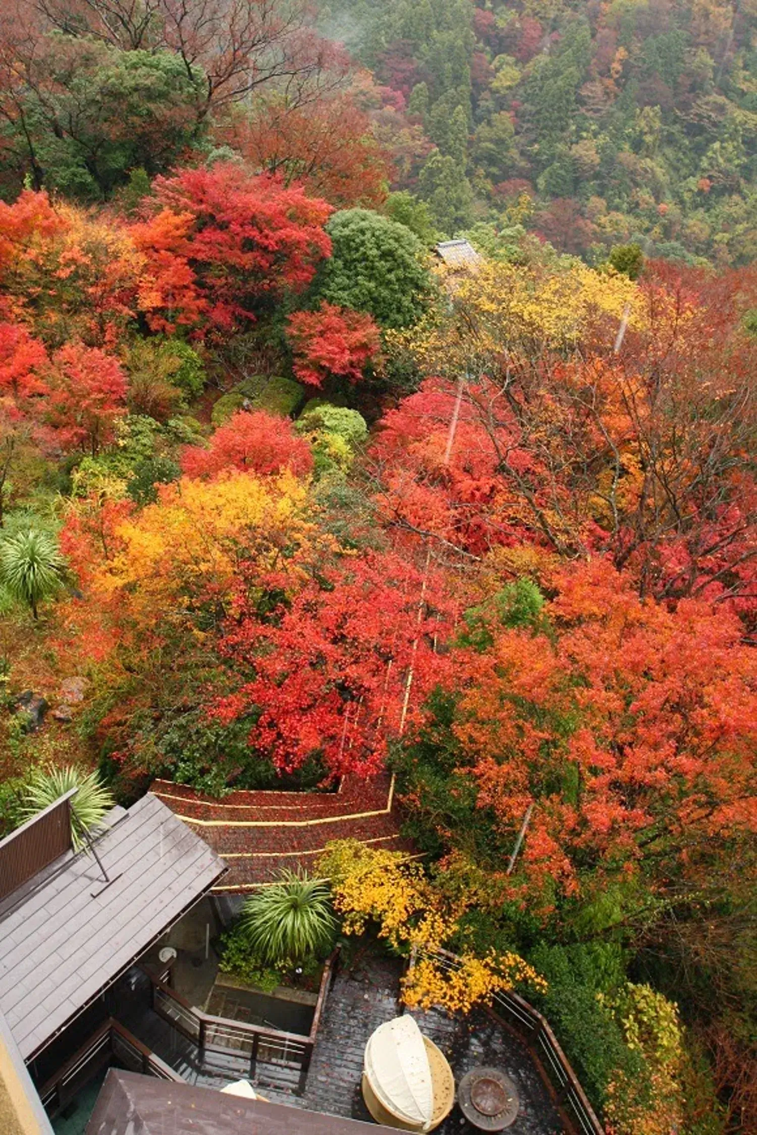 Hakone Ginyu