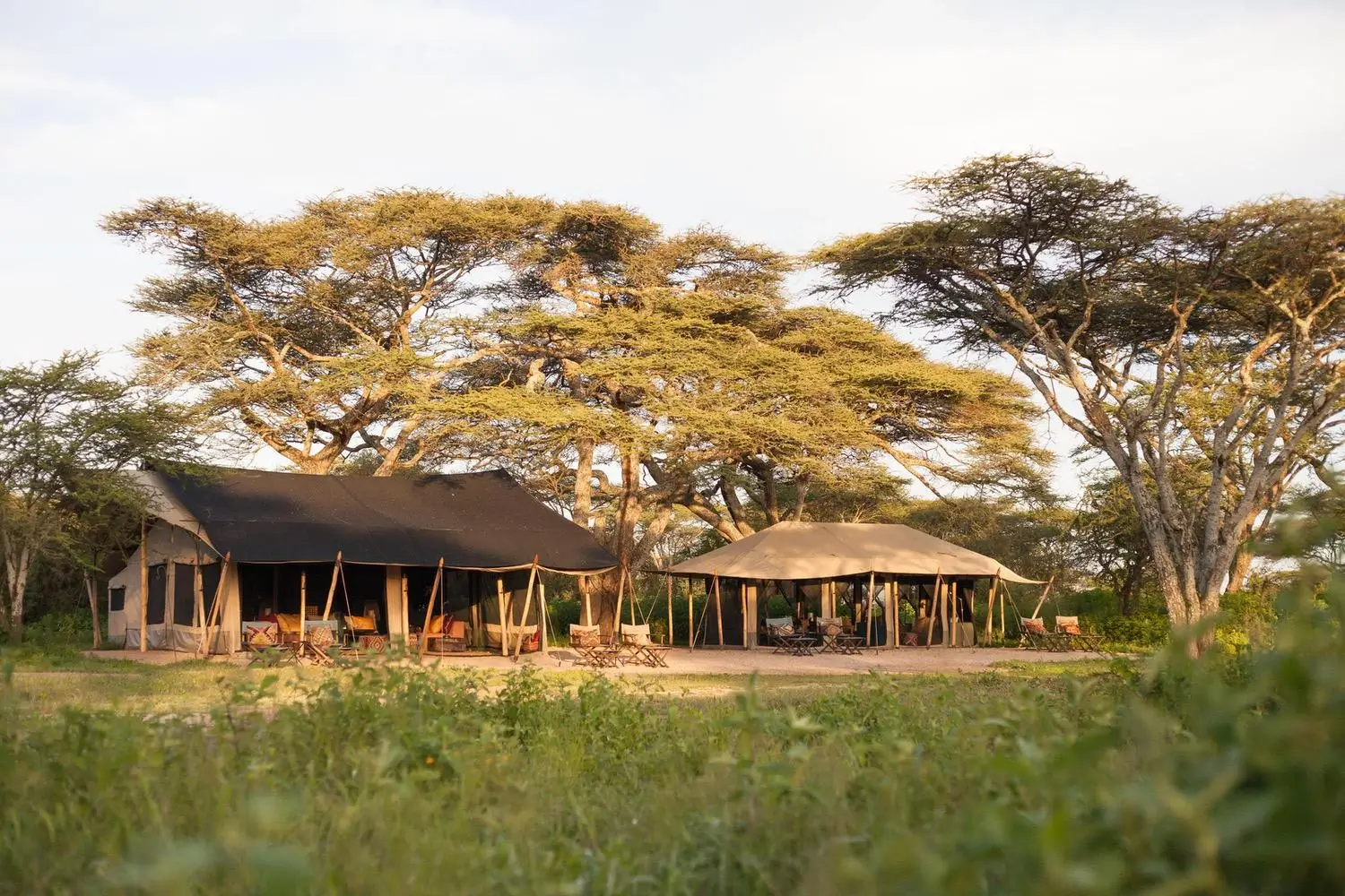 Nyasi Tented Camp