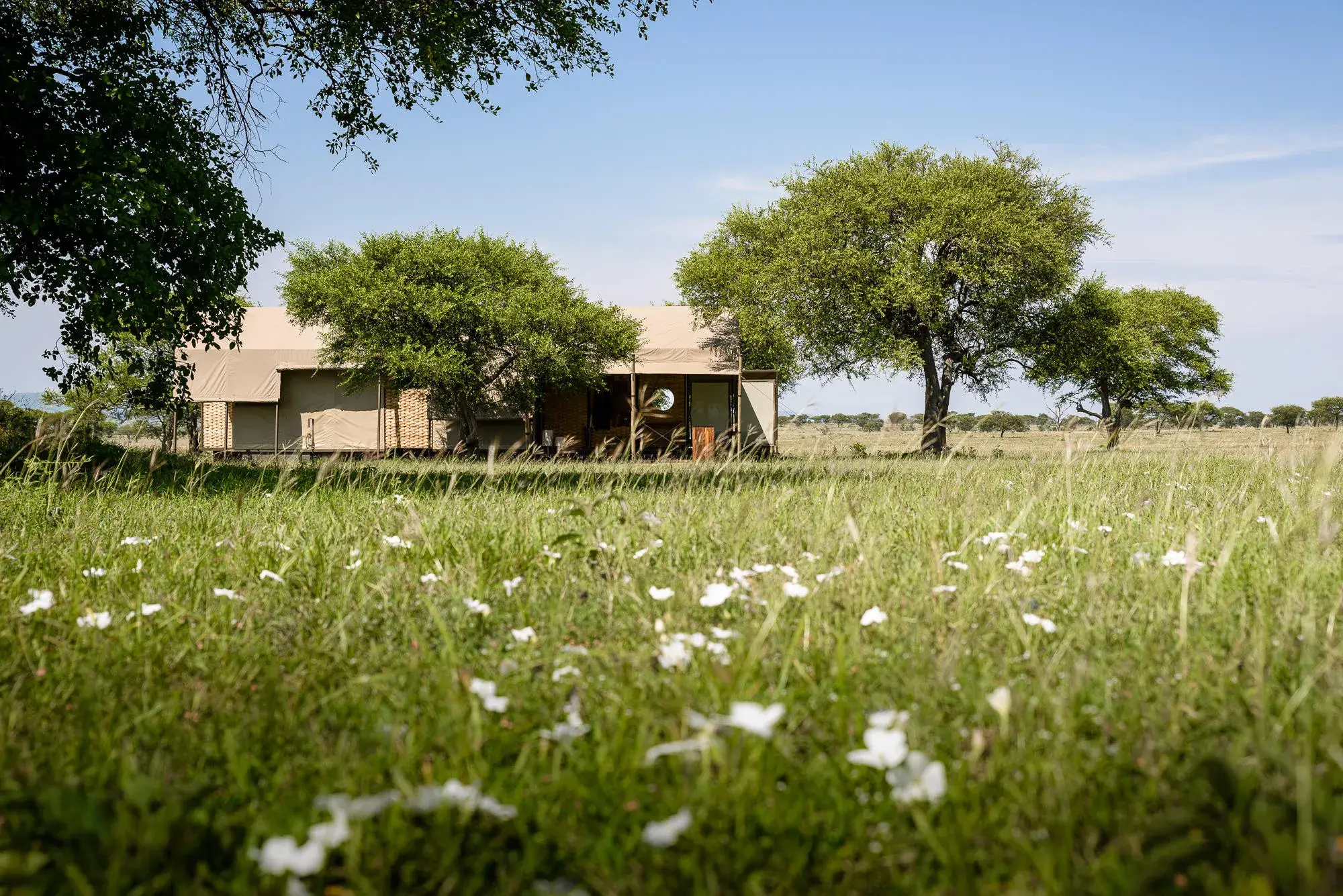 Singita Sabora