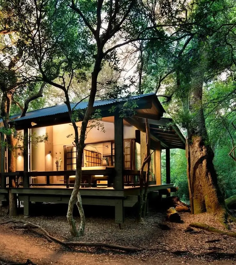 Phinda Forest Lodge