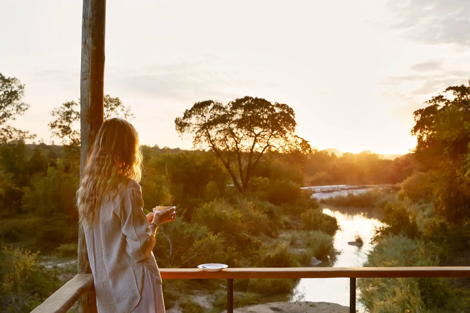 Londolozi Founders Camp